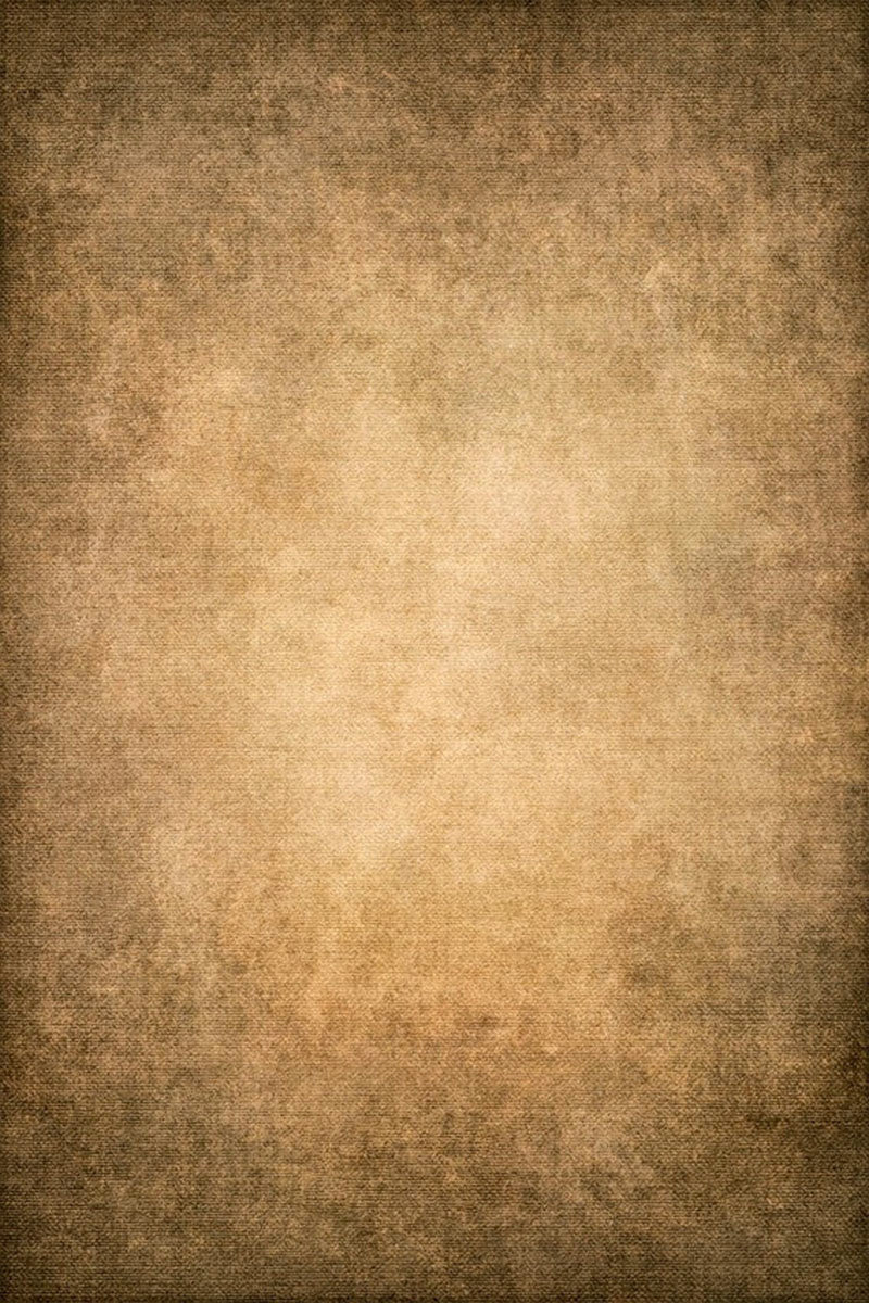 Clotstudio Abstract Gold Textured Hand Painted Canvas Backdrop #clot474