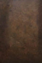 Clotstudio Dark Brown Coarse grained Hand Painted Backdrop #clot555