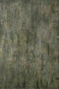 Clotstudio Green Coarse grained Hand Painted Backdrop #clot562