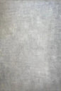 Clotstudio Grey White Coarse Grained Hand Painted Backdrop #clot568