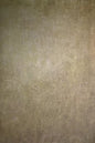 Clotstudio Light Brown Green Textured Hand Painted Canvas Backdrop #clot548