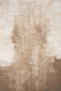 Clotstudio Abstract Beige Spray Textured Hand Painted Canvas Backdrop #clot 49