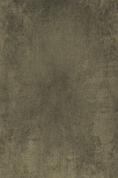 Clotstudio Abstract Grey Green Textured Hand Painted Canvas Backdrop #clot424